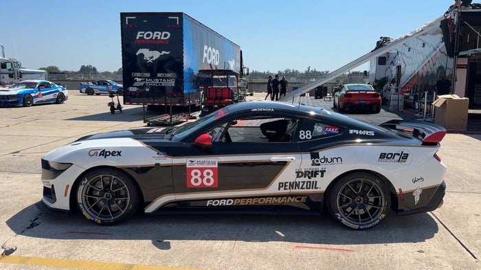 Chelsea DeNofa Mustang Drak Horse R